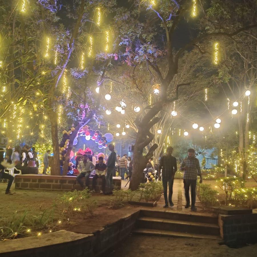 Fairy Light Decorations